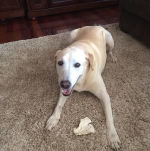 Meet your Posher, Mike